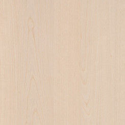 Kaindl Furnierte Span Birke A/B geschält