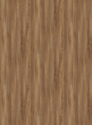 Kaindl Dekorspan K5277 SU Ulme Sangallo Outback 