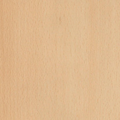 Pfleiderer Dekorspan R24035 VV Buche Blume