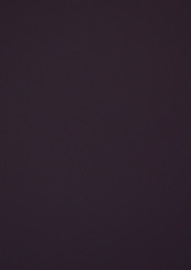 Arpa Fenix-Nano 0790 Viola Orissa