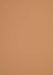 Arpa Fenix-Nano 0791 Giallo Evora