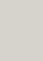 FunderMax Kompaktplatte 0741 SX Birkengrau