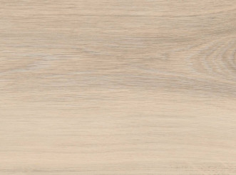 Disano Profi Selection Black Line TC