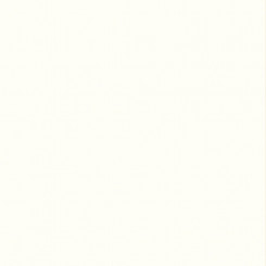 Max Exterior 0085 NT White Kompaktplatte