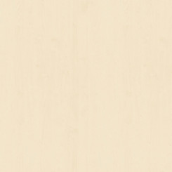 SwissKrono Dekorspan D1489 BS White Maple