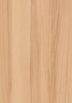 Kaindl Dekor 37706 MN Kernbuche