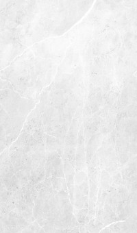 LIFESTYLEBOARD SPA Aragon Snow - <p>Robuste Aluminium-Verbundplatte mit hochwertiger Oberflächenveredelung</p>
