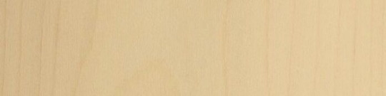 Furnierkante  Maple - Furnierkante   Maple
geschliffen,   RS  mit Vlies