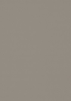 Forbo Desktop 4011 Taupe - Rollenware - Forbo Desktop 4011 Taupe 
Möbellinoleum, Furniture Linoleum
Rollenware