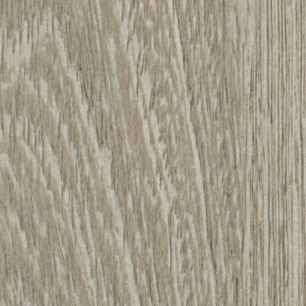 Pfleiderer Dekorspan R50083 NW Silberwenge - Dekorspan R50083-NW
Silberwenge 