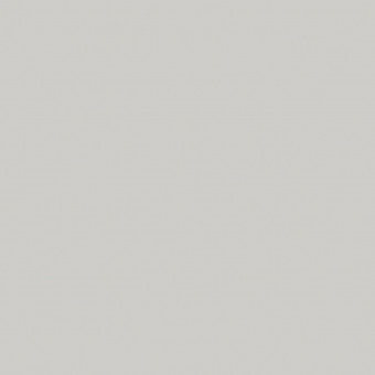 Verbundelement U12188 SD Lichtgrau - Verbundelement DUROPAL Dekor
Lichtgrau
beidseitig belegt mit HPL 0,8 mm 
U 12188 SD
Träger Span P2 E1 17,4 mm
100% PEFC zertifiziert, DNVSE-PEFC-COC-349